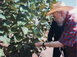 Fidel Castro, October 22, 2012