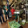 Workers at Scop-Ti in southern France