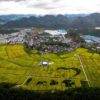 Rice fields in Jiande city, Zhejiang province, Sept 17, 2020