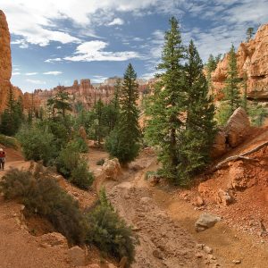 Navajo Trail, Bryce Canyon National Park, Utah, USA