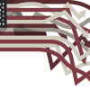 Democracy and disinformation